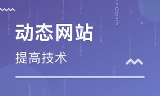 天津網(wǎng)站建站培訓(xùn) 天津動(dòng)態(tài)網(wǎng)站后臺(tái)開(kāi)發(fā)班 天津先鋒科教職業(yè)培訓(xùn)學(xué)校