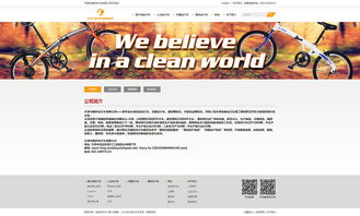 天津網站建設定制開發 朗多自行車官網制作
